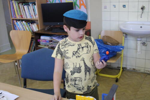 IMG 4252