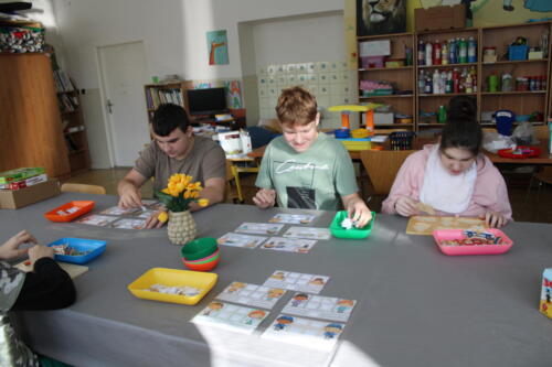 IMG 4360