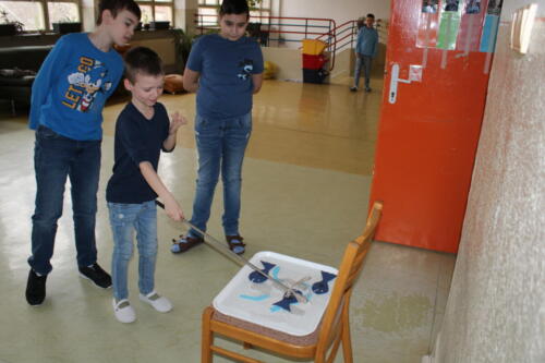 IMG 6918