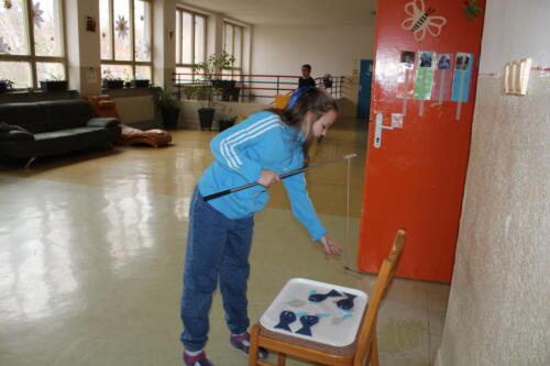 IMG 6957