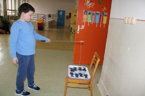 IMG 6961