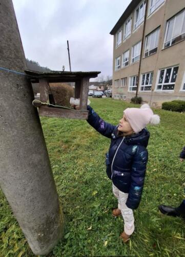 IMG-a407c9e1319f2ae47b436c406e7f2809-V