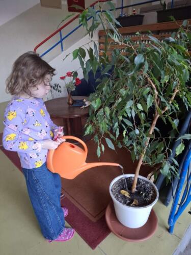 IMG-bc16016bcd4ceb80277269a82b801608-V