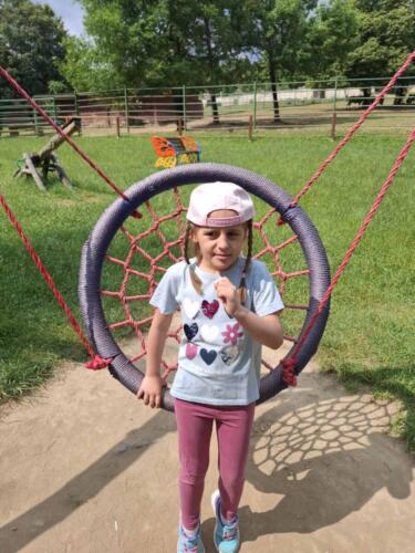 IMG-259bbafb49feada3608a7ad8e03e26fb-V