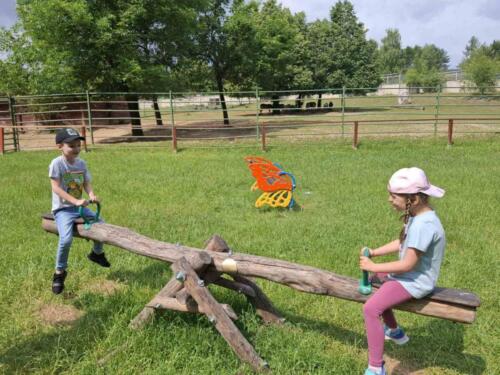 IMG-7a514318a97c12c77b780495c552a1b3-V