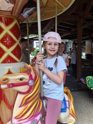 IMG-ed4f81cfa5f5870bb4b32a9e23d71cc2-V