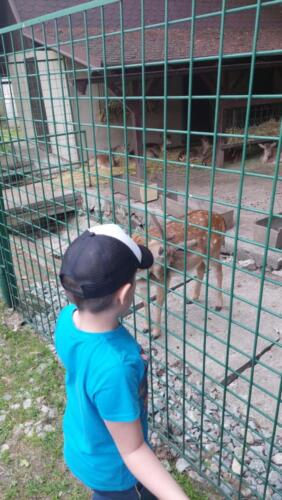 Messenger creation 1B0DE161-8E27-496F-9650-17C6E0137D66