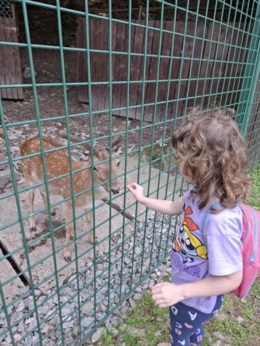 Messenger creation 2284D282-C550-4838-955B-9DABF2BF5D55