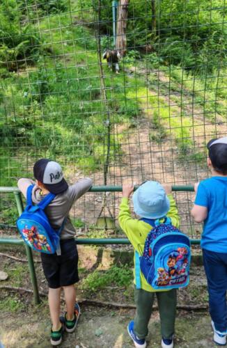 Messenger creation 29D80D95-03A1-48A3-87F4-29960E5C4B5F