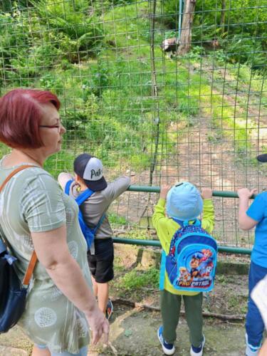 Messenger creation 343D3E65-42B8-47B0-AC2C-04FEA56B6DDF