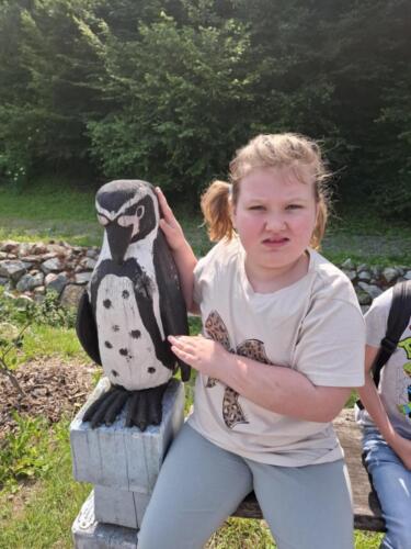 Messenger creation 6AF2AF6F-8B09-442D-873A-94E51748A6A9