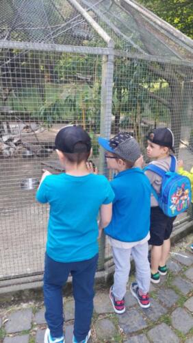 Messenger creation 6DDD8018-8A5C-4115-B186-7835033813A5