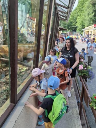 Messenger creation 70386857-D78E-4DF0-983E-332B597F73B1