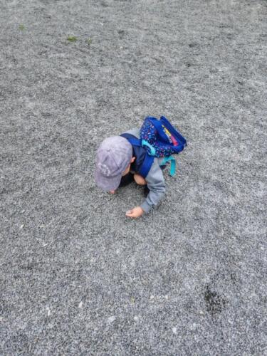 Messenger creation 9BA6A6DB-39D8-44D7-B273-AA69D4119210