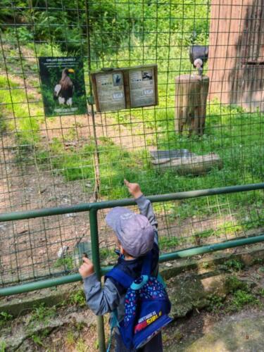 Messenger creation C9047A8D-087F-40E4-BE94-716848AEAF8D