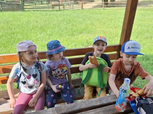 Messenger creation D3F50FB3-2B8A-4147-B1A4-EE8C53C2946C