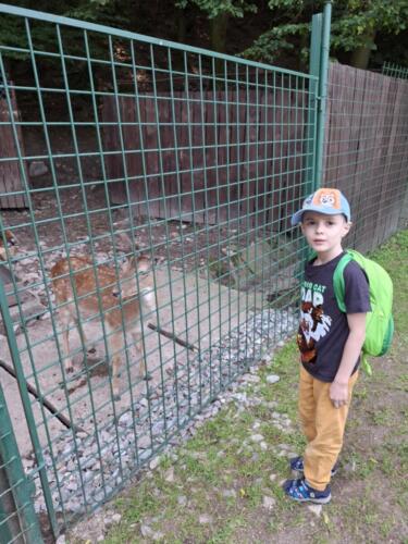 Messenger creation EBC1CB3C-8255-42D5-9FE9-DE6CE8F1EED1