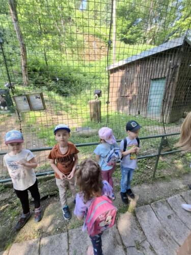 Messenger creation EF18BE6C-F441-4A8C-BFD1-59F0826B7625