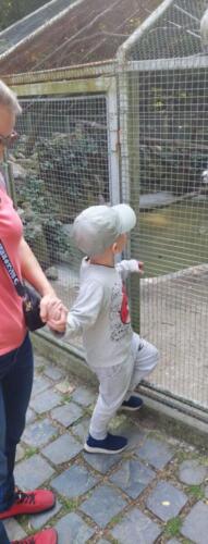 Messenger creation F0A4D7D0-A502-4DA6-8024-C59FBB74E959