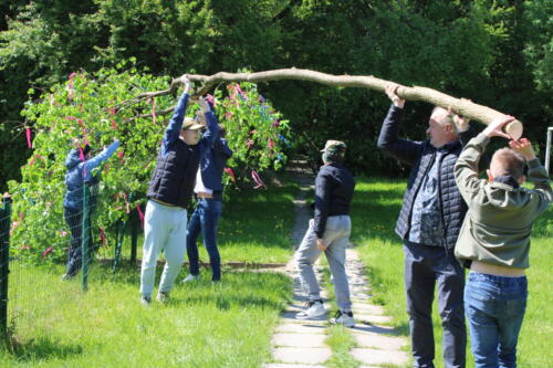 IMG 7028
