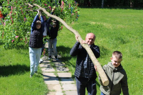 IMG 7029