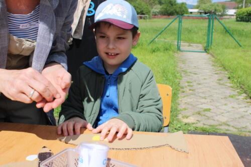 IMG 7177