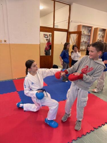 IMG 4948