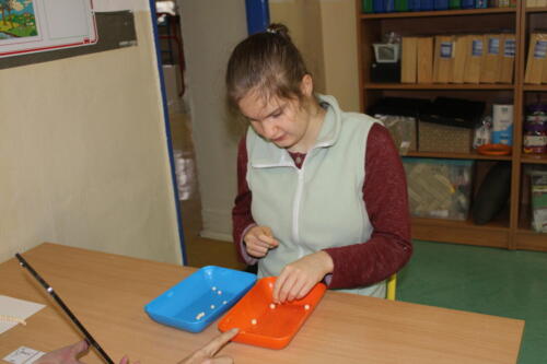 IMG 8681