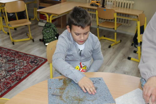 IMG 8696