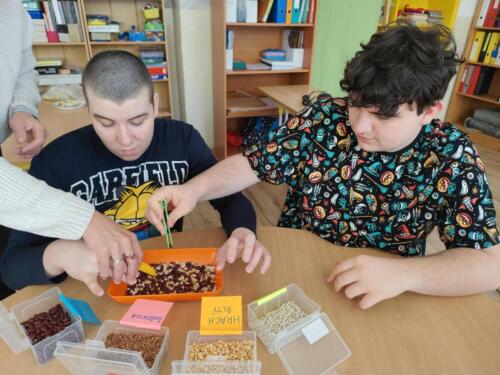 553738094 2115498259191324 5134715128919689060 n