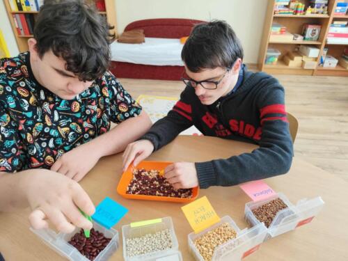 566507701 813605958505496 3786220677979846940 n