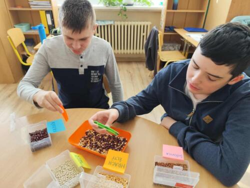 566523957 828699622944699 8435074808906139548 n