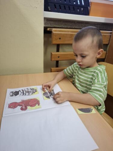 IMG-6625bad7706a4f7d80ef57c5f6558aa6-V