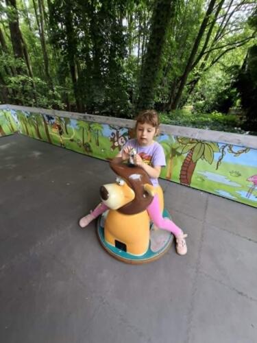 d2bdef8a-de01-4a1a-adf3-d31f5aad1848