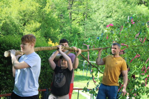IMG 0236