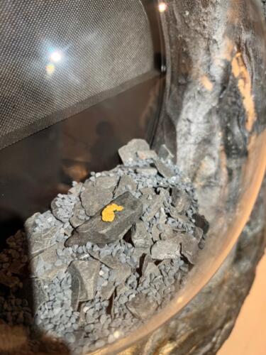 IMG 1576