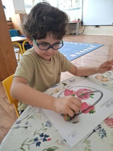 WhatsApp-Image-2026-10-20-at-11.42.12-8