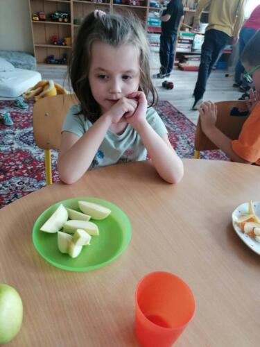 WhatsApp-Image-2026-10-20-at-12.04.31-7